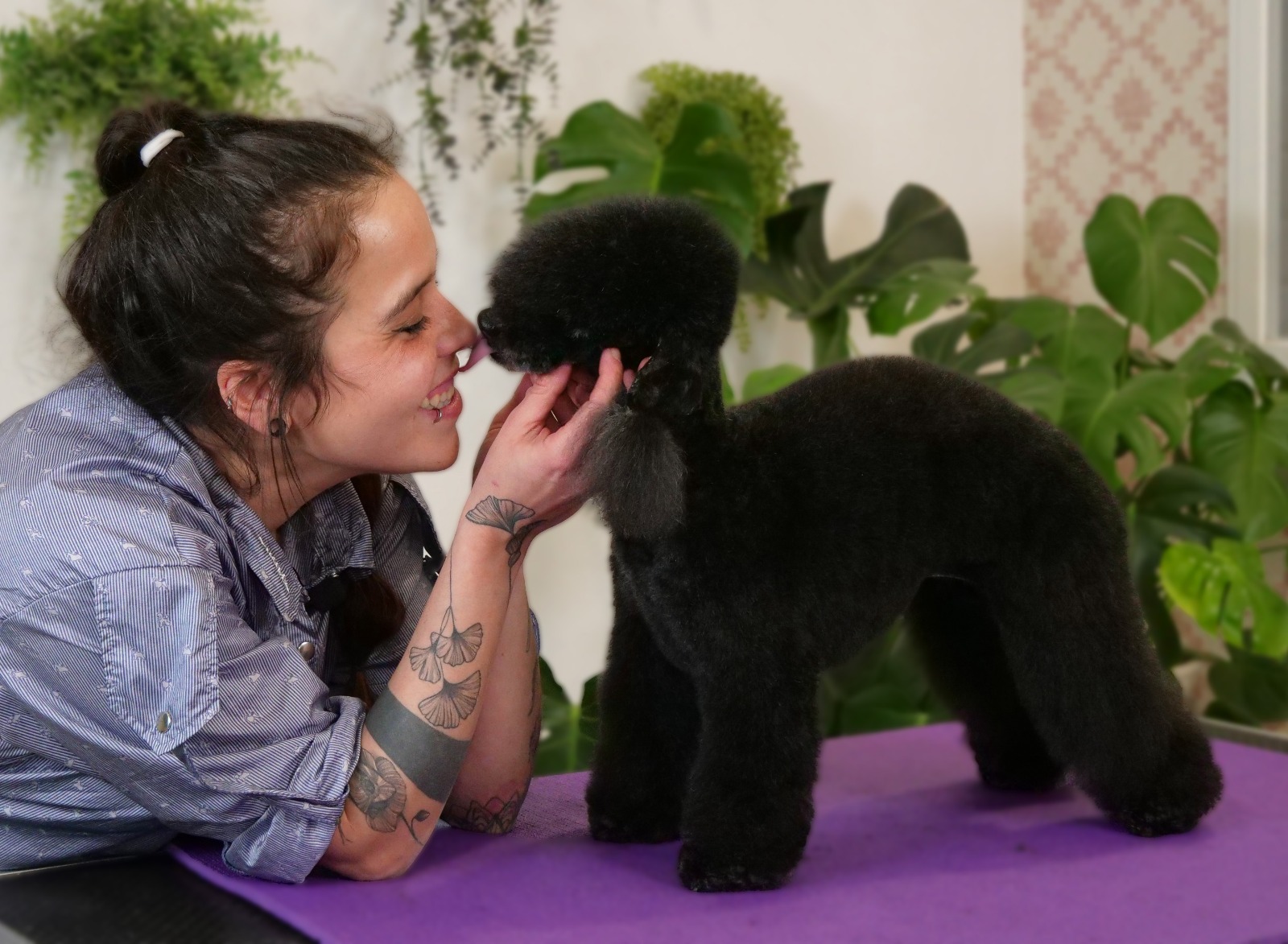 cómo elegir peluquería canina