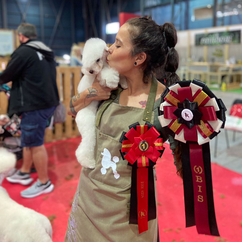 servicios de peluquería canina en Guadalajara - Campeonatos