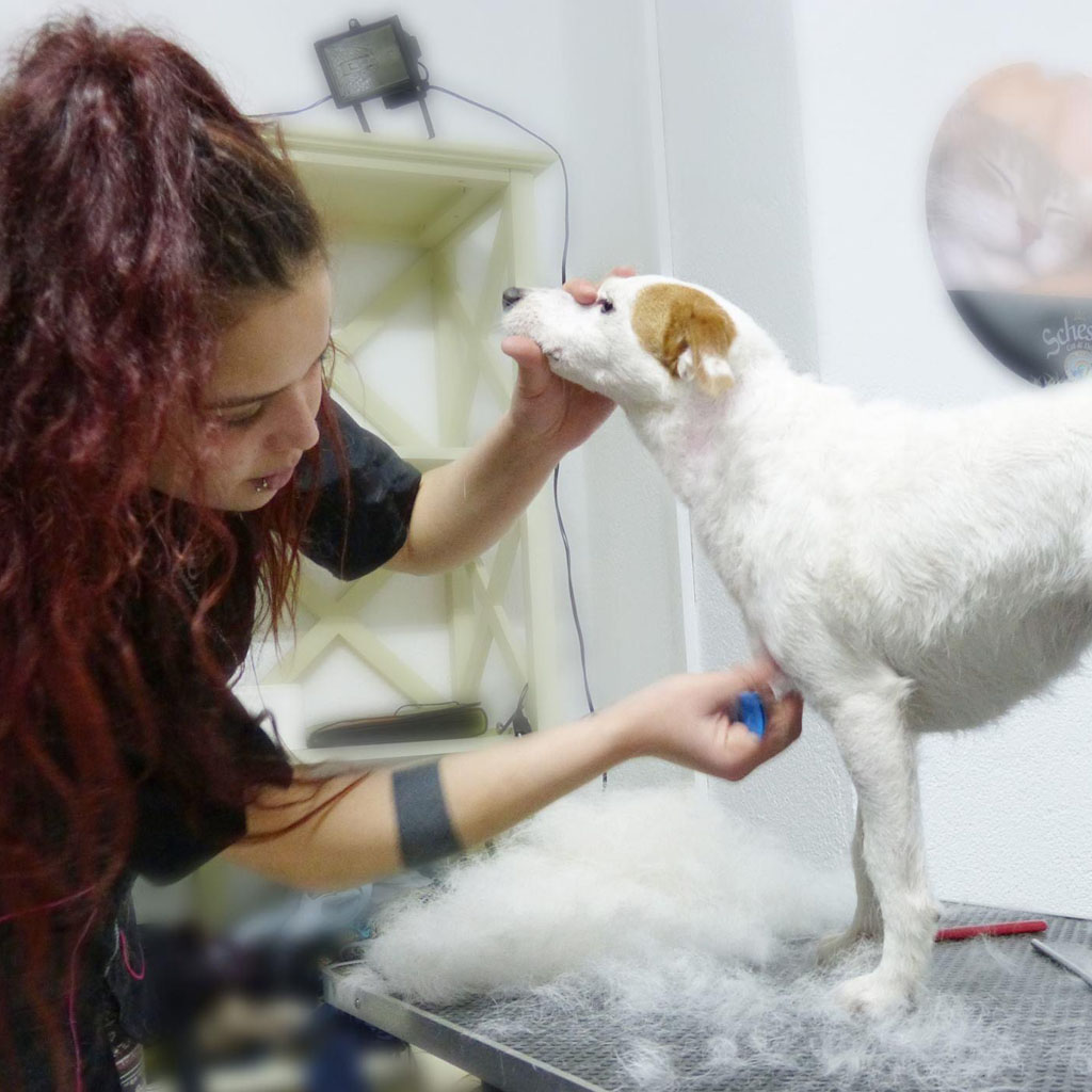 Stripping y Deslanado - Ej 3